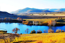 一樹(shù)繁花/李春雷/