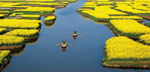 這批作家的地域文學(xué)創(chuàng)作得到了文學(xué)界的充分認可，一個充分體現(xiàn)文學(xué)地理特點的文學(xué)流派—“里下河文學(xué)流派”逐漸形成。