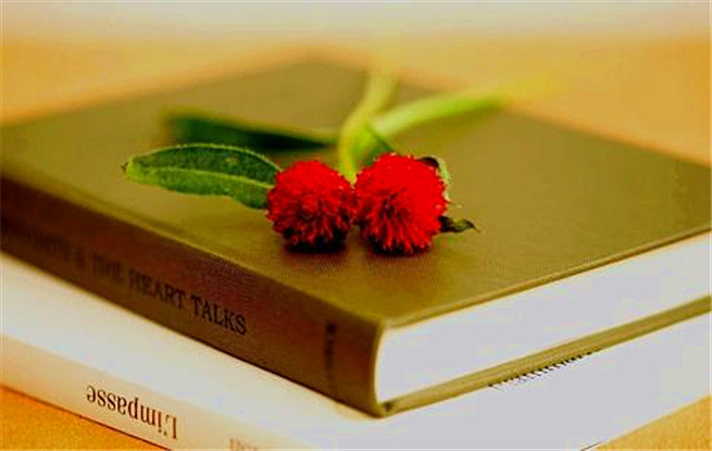 北京出版集團(tuán)世界圖書(shū)和版權(quán)日紀(jì)念講壇：閱讀，溫潤(rùn)心靈