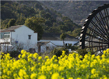 創(chuàng)意閱讀與寫作工作坊｜今天，我們?nèi)绾蚊鎸?duì)新時(shí)代的鄉(xiāng)村？從與鄉(xiāng)村有關(guān)的人物開啟敘述，再指向具體村落，展現(xiàn)鄉(xiāng)土文化……[詳細(xì)]