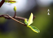 《立春》大年三十這一天，天難得放晴了。村子里到處明晃晃的，陽光映照著雪地，仿佛琉璃世界。[詳細]