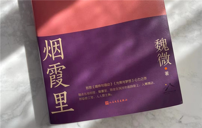 【特約評論】魏微：抒情為表，史詩為里