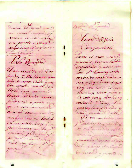 因?yàn)闀?huì)做飯，胡安娜傳世的作品在詩(shī)歌、戲劇、隨筆之外多了一份——墨西哥最早的食譜。