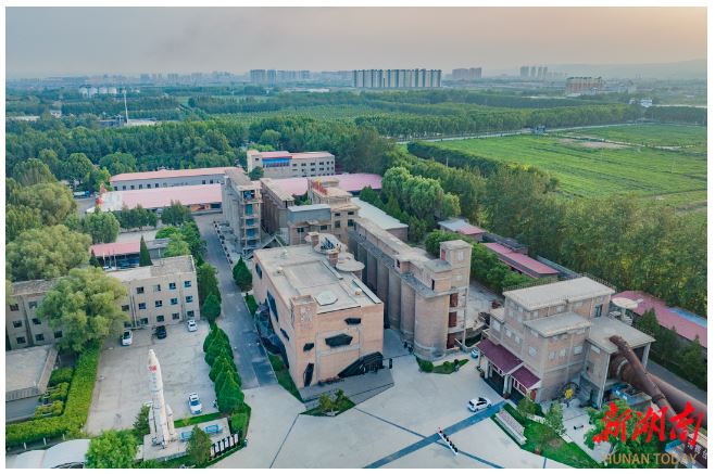 賈家莊“種子影院”。