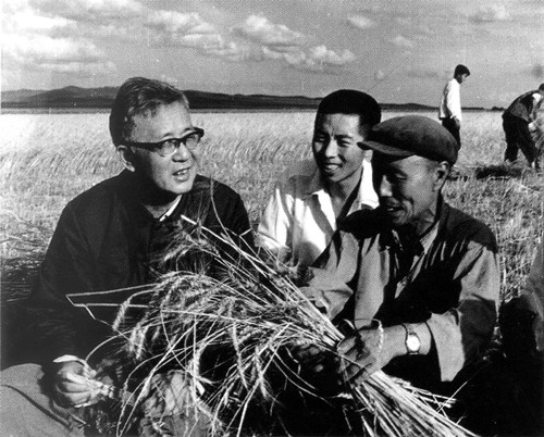 多年來華羅庚為推廣“優(yōu)選法”和“統(tǒng)籌法”，經(jīng)常深入廣大工廠、農(nóng)村，圖為華羅庚與農(nóng)民在一起（右下）