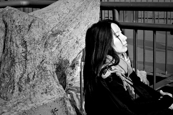 李鳳群，安徽無(wú)為人，安徽省作家協(xié)會(huì)副主席，現(xiàn)居南京。著有《大江》《大風(fēng)》《大野》《月下》等多部長(zhǎng)篇小說。曾獲第三、第四屆紫金山文學(xué)獎(jiǎng)，江蘇省“五個(gè)一工程”獎(jiǎng)，安徽省首屆魯彥周文學(xué)獎(jiǎng)長(zhǎng)篇小說獎(jiǎng)，第七屆魯迅文學(xué)獎(jiǎng)中篇小說獎(jiǎng)提名，《人民文學(xué)》2018年度長(zhǎng)篇小說獎(jiǎng)，南方文學(xué)盛典2020年度小說家提名獎(jiǎng)，中國(guó)好書獎(jiǎng)等獎(jiǎng)項(xiàng)。