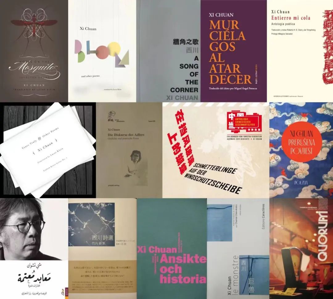 西川在國(guó)內(nèi)外出版的部分圖書