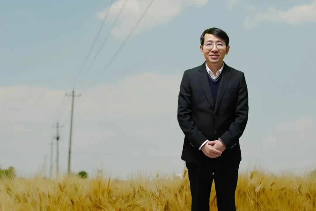 羅長青，男，1981年生，湖南衡陽人；博士畢業(yè)于南京大學，曾在復旦大學中國語言文學博士后流動站從事博士后研究，曾任貴州師范大學文學院教授，博士研究生導師；現(xiàn)為廣東外語外貿(mào)大學中國語言文化學院教授；主要從事中國當代文學與文化現(xiàn)象研究。