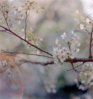 數(shù)字化喧賓奪主，展覽如何回歸藝術(shù)本源