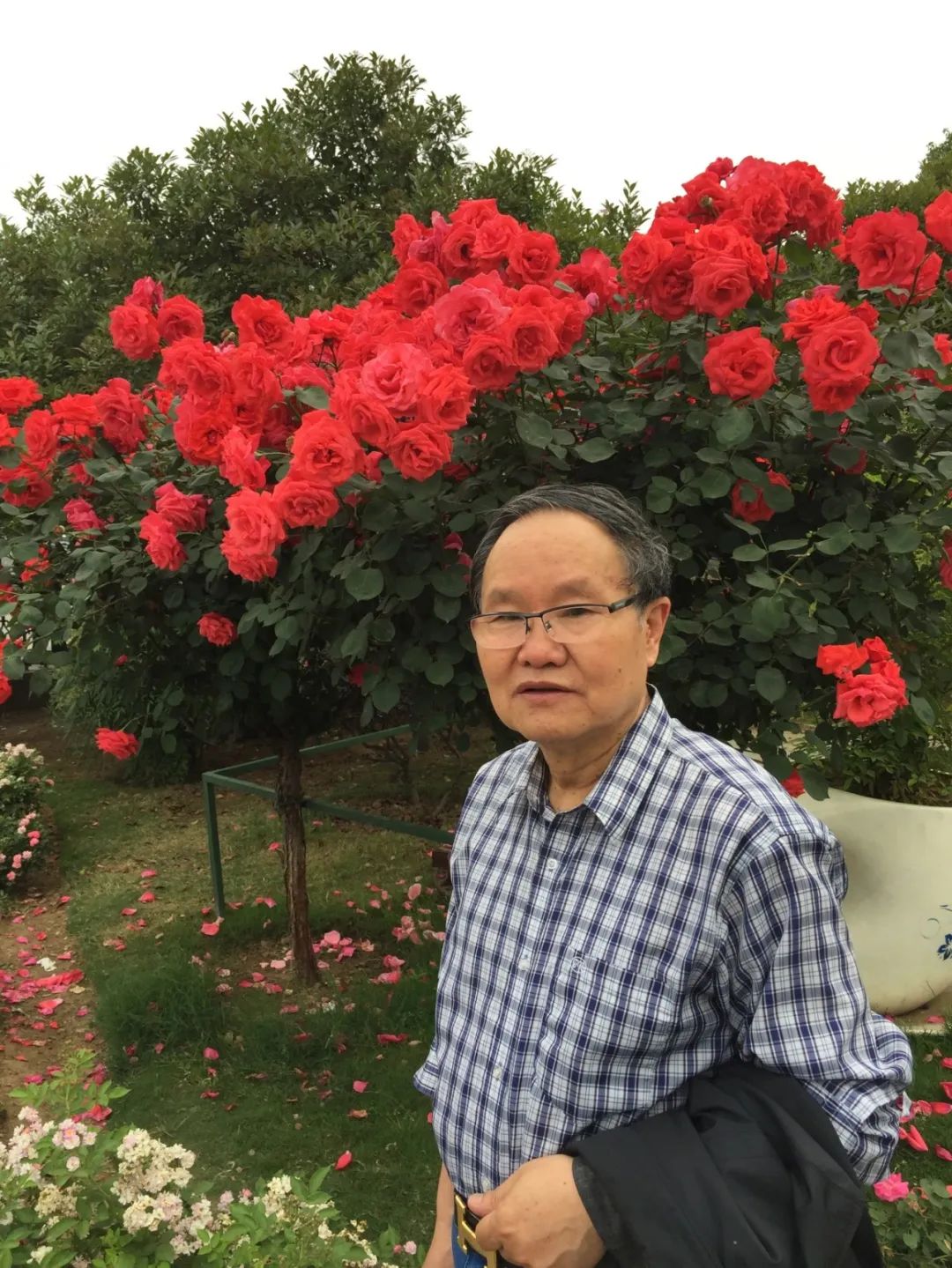 【劉慶邦，1951年生于河南沈丘。著有長(zhǎng)篇小說(shuō)《斷層》《遠(yuǎn)方詩(shī)意》《平原上的歌謠》《紅煤》《遍地月光》《黑白男女》《女工繪》《花燈調(diào)》等十四部，中短篇小說(shuō)集、散文集《走窯漢》《梅妞放羊》《遍地白花》《響器》《黃花繡》《到處有道》等七十余部。《劉慶邦短篇小說(shuō)編年》十二卷。短篇小說(shuō)《鞋》獲第二屆魯迅文學(xué)獎(jiǎng)。中篇小說(shuō)《神木》《啞炮》獲第二屆和第四屆老舍文學(xué)獎(jiǎng)。中篇小說(shuō)《到城里去》和長(zhǎng)篇小說(shuō)《紅煤》分別獲第四屆、第五屆北京市文學(xué)藝術(shù)獎(jiǎng)。長(zhǎng)篇小說(shuō)《遍地月光》獲第八屆茅盾文學(xué)獎(jiǎng)提名。長(zhǎng)篇小說(shuō)《黑白男女》獲首屆吳承恩長(zhǎng)篇小說(shuō)獎(jiǎng)。長(zhǎng)篇小說(shuō)《家長(zhǎng)》獲第二屆南丁文學(xué)獎(jiǎng)。長(zhǎng)篇散文《陪護(hù)母親日記》獲第二屆孫犁散文獎(jiǎng)。曾獲北京市首屆德藝雙馨獎(jiǎng)，首屆林斤瀾杰出短篇小說(shuō)作家獎(jiǎng)，第十屆冰心散文獎(jiǎng)。獲《北京文學(xué)》獎(jiǎng)十五次；《十月》文學(xué)獎(jiǎng)七次；《小說(shuō)月報(bào)》百花獎(jiǎng)八次等。根據(jù)其小說(shuō)《神木》改編的電影《盲井》獲第53屆柏林電影藝術(shù)節(jié)銀熊獎(jiǎng)。1990年加入中國(guó)作家協(xié)會(huì)，為中國(guó)煤礦作家協(xié)會(huì)名譽(yù)主席，北京作家協(xié)會(huì)原副主席，一級(jí)作家，北京市第十、第十一、第十二屆政協(xié)委員，中國(guó)作家協(xié)會(huì)第五、第六、第七、第八、第九屆全國(guó)委員會(huì)委員。】