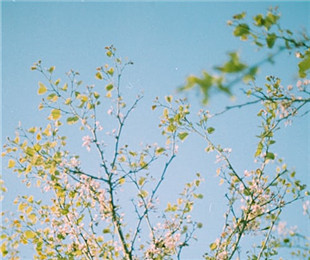 談文創(chuàng)設(shè)計(jì)中的情感導(dǎo)向：傳遞文化情感和情緒價(jià)值