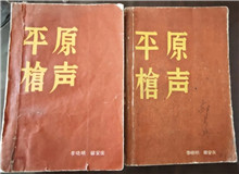 從未遠去的“平原槍聲”　　合上《平原槍聲》最后一頁，初聽現(xiàn)實中肖張鎮(zhèn)這個地名，心頭不禁一震：莫不是小說中的肖家鎮(zhèn)？[詳細]