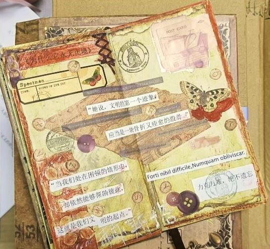 閱讀摘抄手賬，來源：讀者“朝夕昭奚”微博