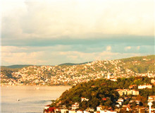 我的散文的生命力來(lái)自于田野調(diào)查　　蟋蟀叫著，兮兮兮。月影上來(lái)了，印在窗戶上，如一朵潔白的窗花。[詳細(xì)]