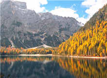 在自然文學(xué)和生態(tài)文學(xué)之間　　在自然文學(xué)領(lǐng)域，我耗費(fèi)了大量時(shí)間和心血，但遠(yuǎn)遠(yuǎn)談不上“中國(guó)的《瓦爾登湖》”……[詳細(xì)]