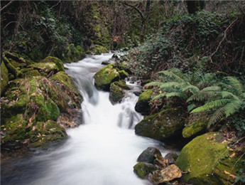 在自然的詩(shī)行里，我們都是蹩腳的讀者……