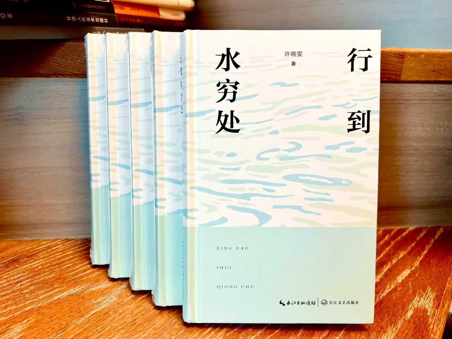 許曉雯詩(shī)集《行到水窮處》 受訪者供圖