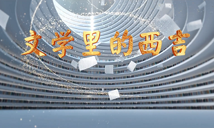 【視頻】文學(xué)里的西吉