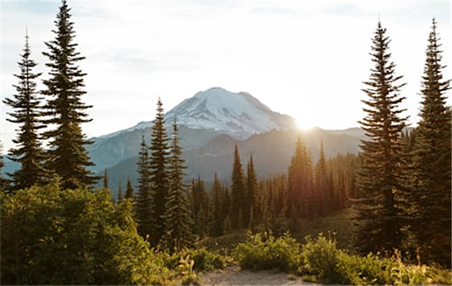 邁向跨界融合的“大文學(xué)”時(shí)代——二〇二五年中國文壇一瞥