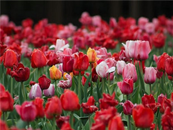 2025年度長篇小說：轉(zhuǎn)折時(shí)代的敘事藝術(shù)