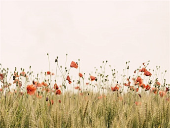 短篇小說：以有限承載無限，折射時(shí)代的暗涌與微光