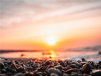 2025年散文：記憶為根，生活為壤，未來為光