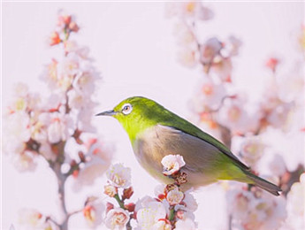 2025年網(wǎng)絡(luò)文學(xué)：誠于時(shí)代，誠于文學(xué)