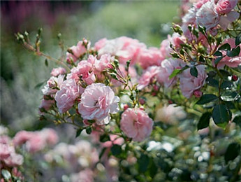 2025文學(xué)理論評(píng)論觀察：在時(shí)代變革中開拓豐盈的話語空間