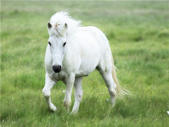 2025年民族文學(xué)發(fā)展綜述：在歷史與現(xiàn)實(shí)的交融中鑄牢中華民族共同體意識(shí)