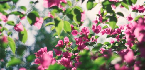 網(wǎng)絡文學的現(xiàn)實性與現(xiàn)實意義