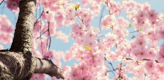 網(wǎng)文獨家 | 2025我們的網(wǎng)文故事：永遠鮮活，沒有天花板