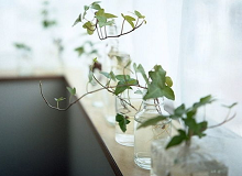 朱強：多余的素材在橋邊的陽光里等車，嫩黃的太陽在寶石藍的天空中形同虛設，好像是紙糊的。一刻鐘后，車終于來了。[詳細]